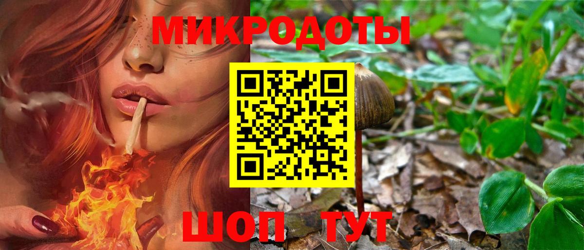 Свободный  Галлюциногенные грибы мухоморы  закладки  Вход с VPN 