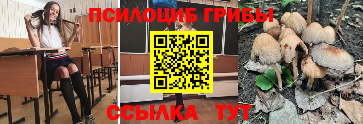 Галлюциногенные грибы GOLDEN TEACHER Свободный